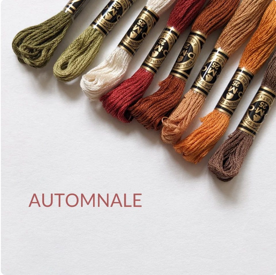 Lots de fil à broder DMC – Fils pour broderie et point de croix, assortiment de couleurs