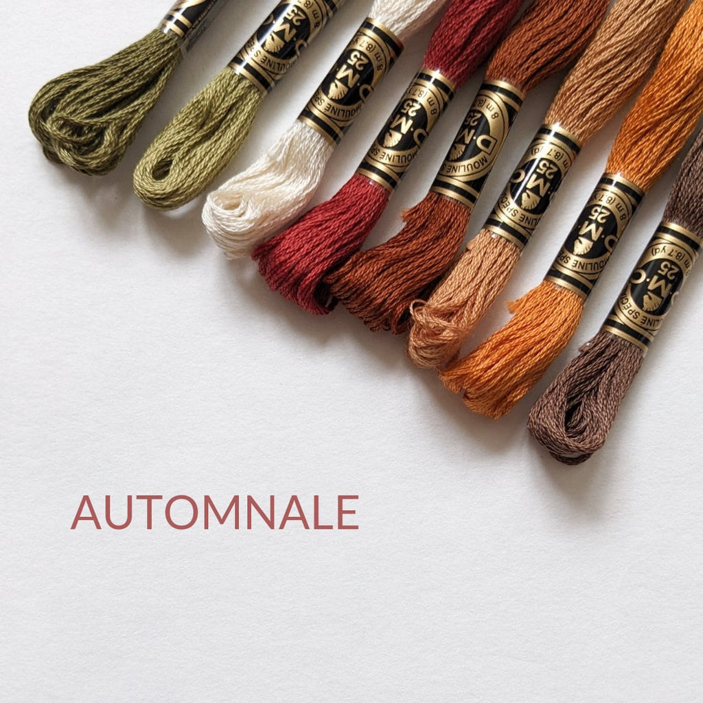 Lots de fil à broder DMC – Fils pour broderie et point de croix, assortiment de couleurs