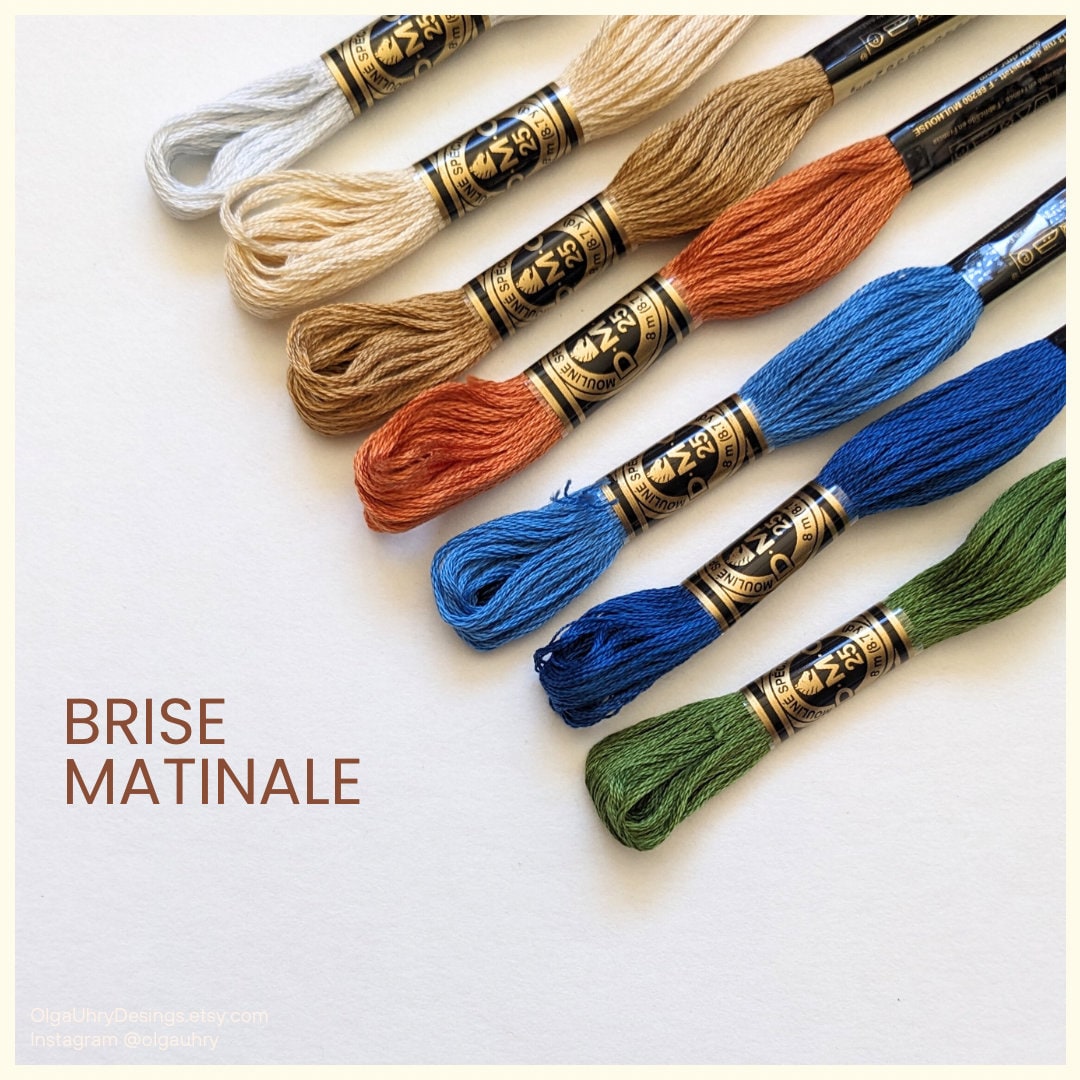 Lots de fil à broder DMC – Fils pour broderie et point de croix, assortiment de couleurs
